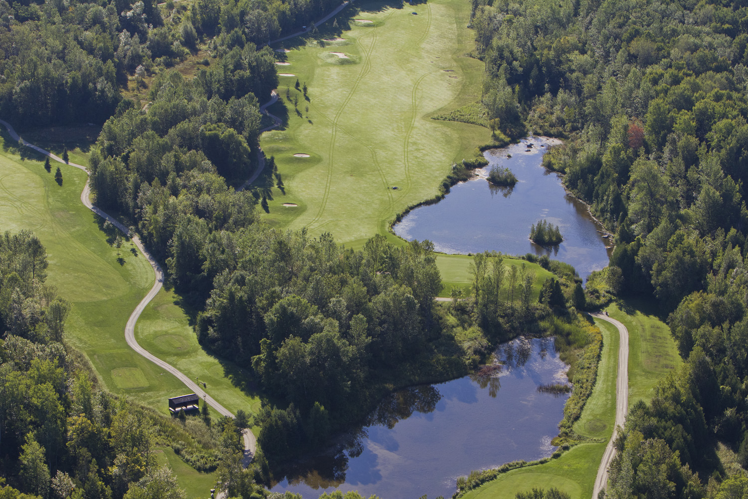Cranberry Golf Course Simcoe Golf Discounts and Coupons on Green Fees