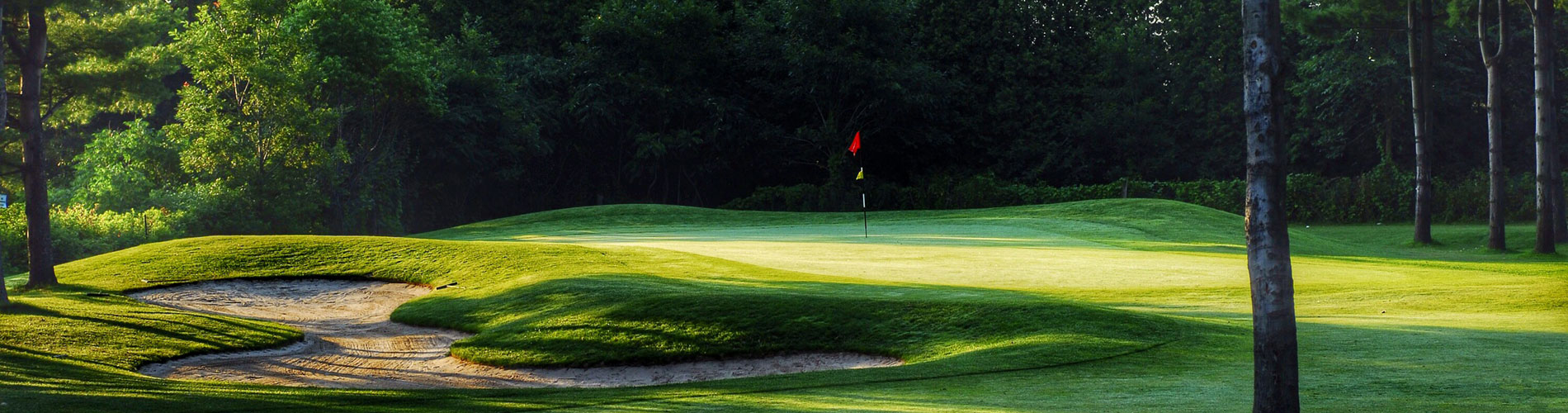 Pacific golf clubs coupon code